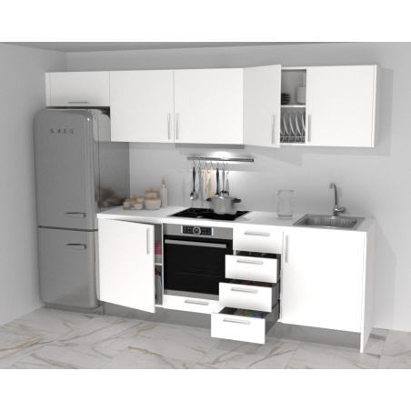 Kitchen Unit 2.87x0.6x2.10 with fridge space 0.60x1.90, built-in stove, oven & extractor hood