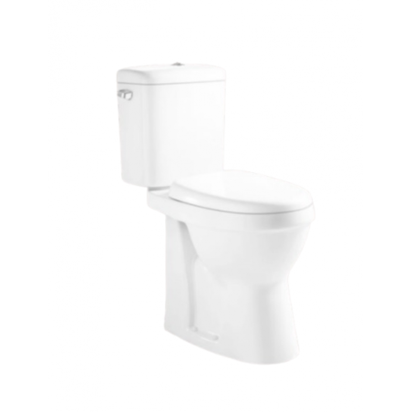 New Mattisse Floor-Standing Toilet and Flush White for disabled
